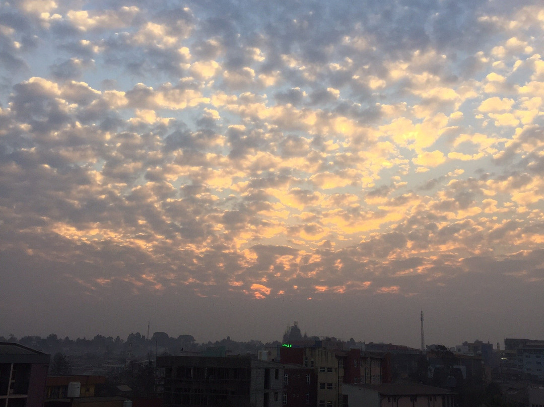 Central Jimma Hotel主图