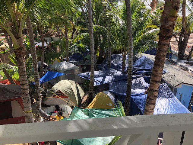 Sivananda Ashram Yoga Retreat Bahamas主图