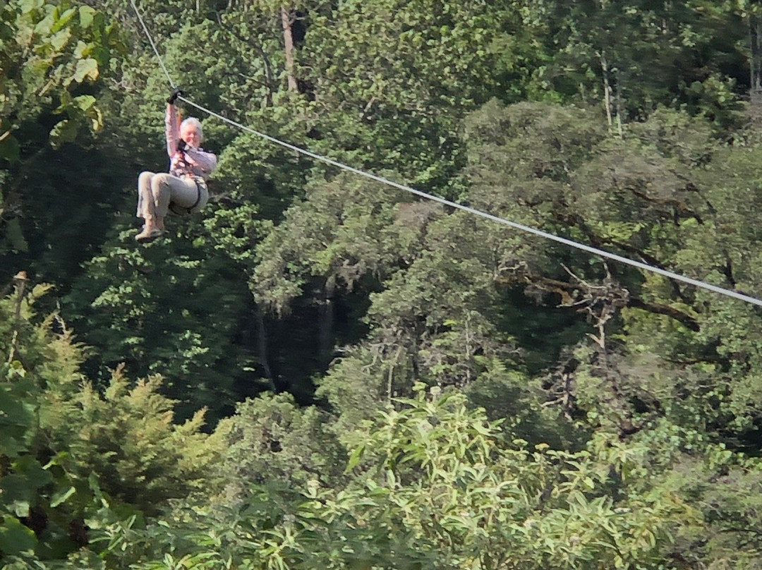 Flying Fox at The Forest-奇安波必去景点