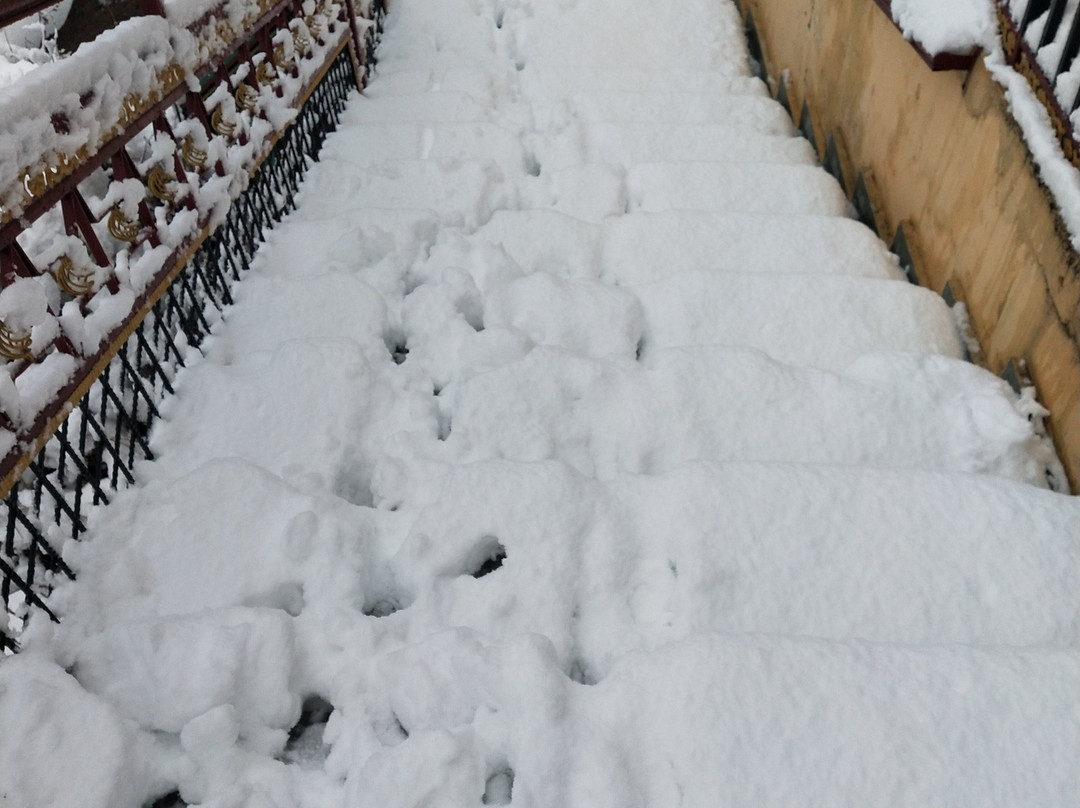 Himanshu Resorts主图