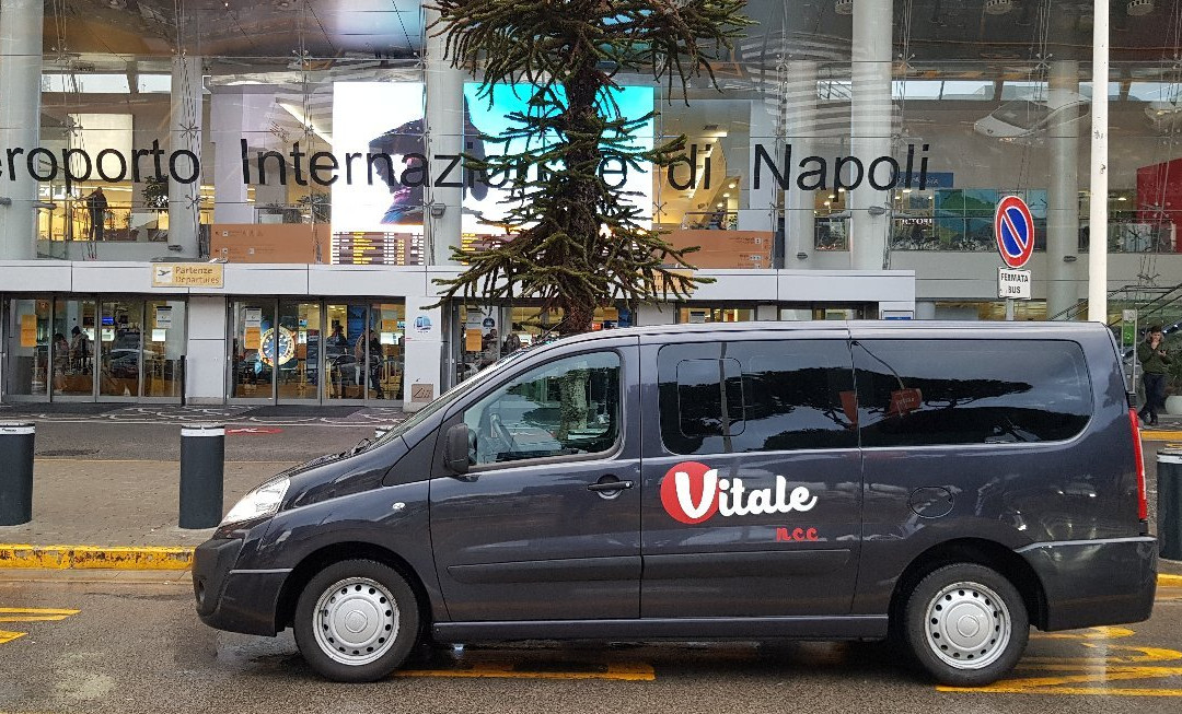 Vitale NCC景点图片