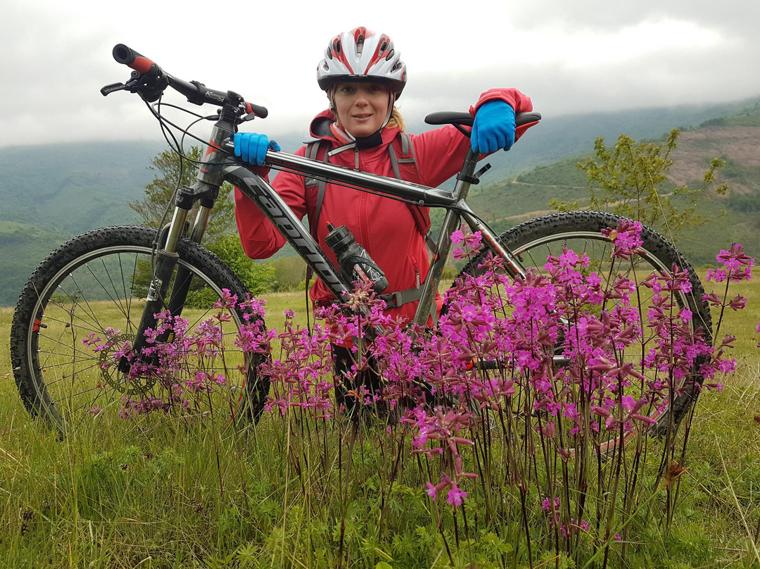 Outdoor In-Zubin Potok必去景点