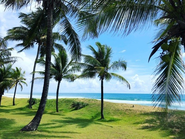 Peninsula Beach Club Hotel主图