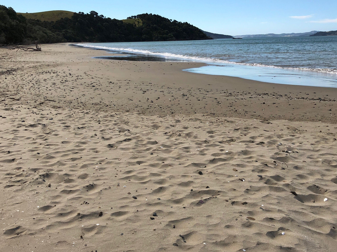 Tawhitokino Regional Park-奥克兰必去景点