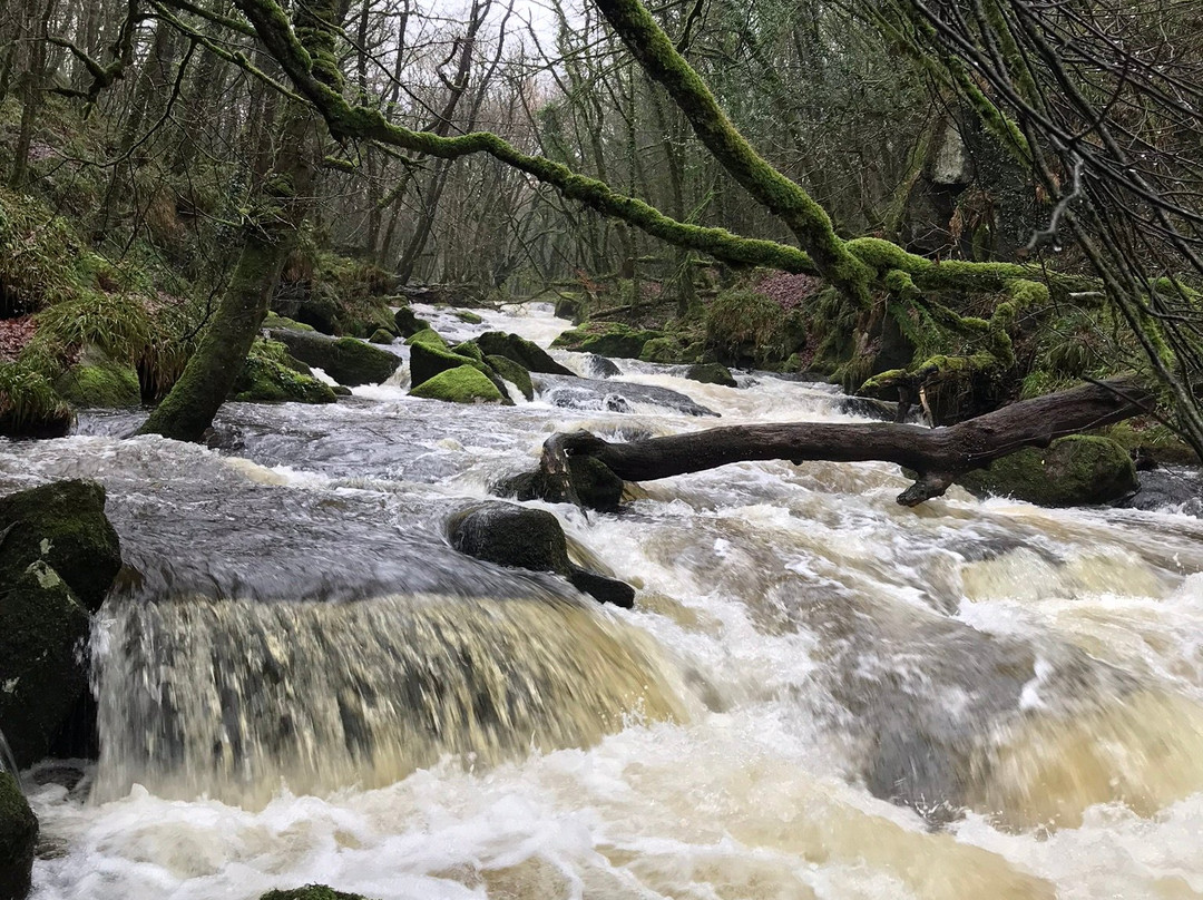 Golitha Falls-利斯卡德必去景点