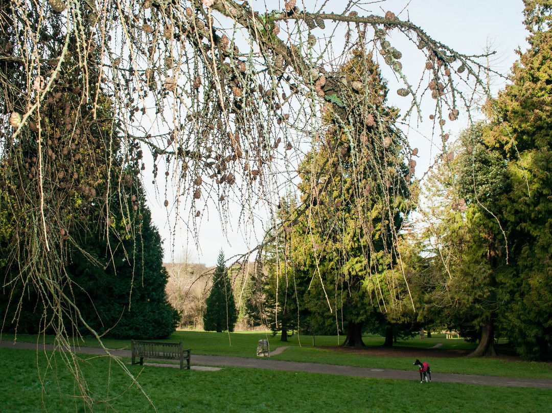 High Elms Country Park景点图片