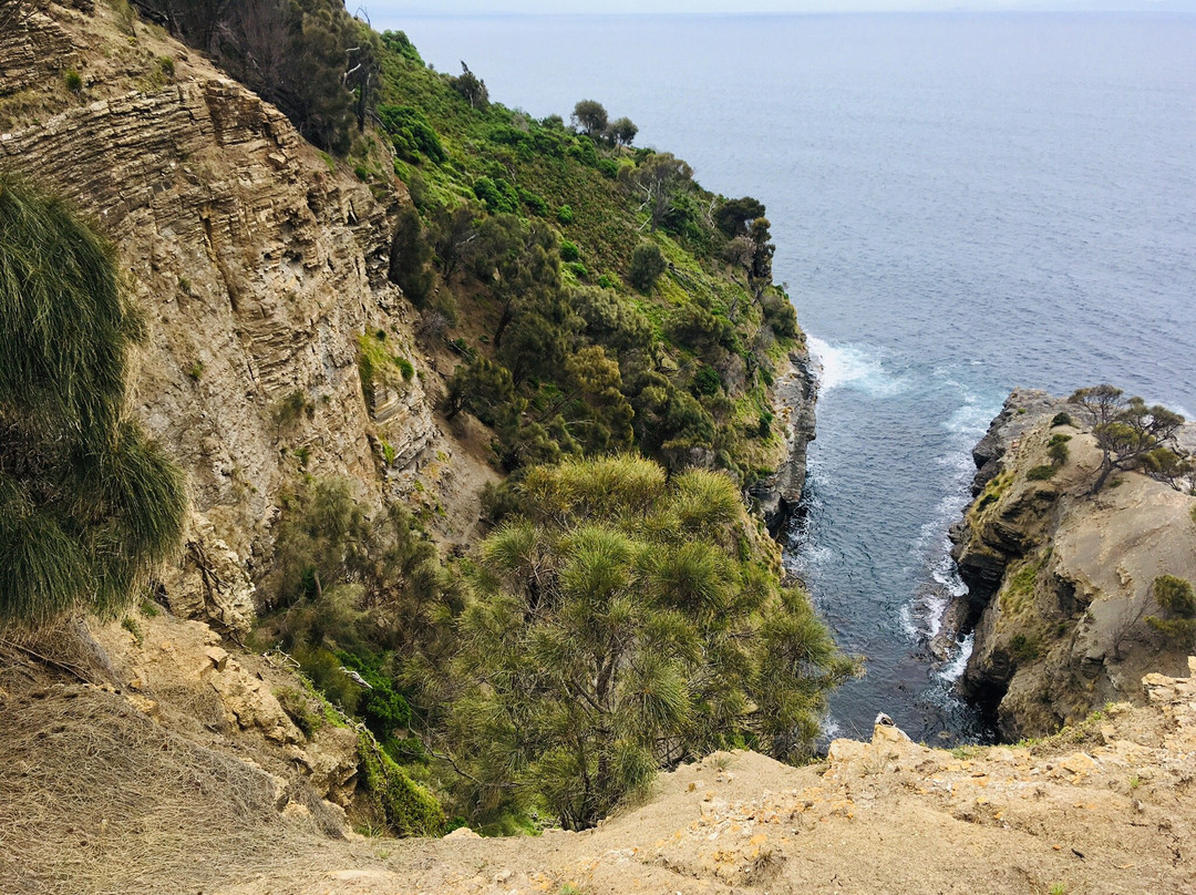 See Tasmania景点图片