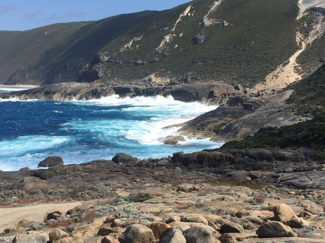 Bald Head Walk Trail-奥尔巴尼必去景点