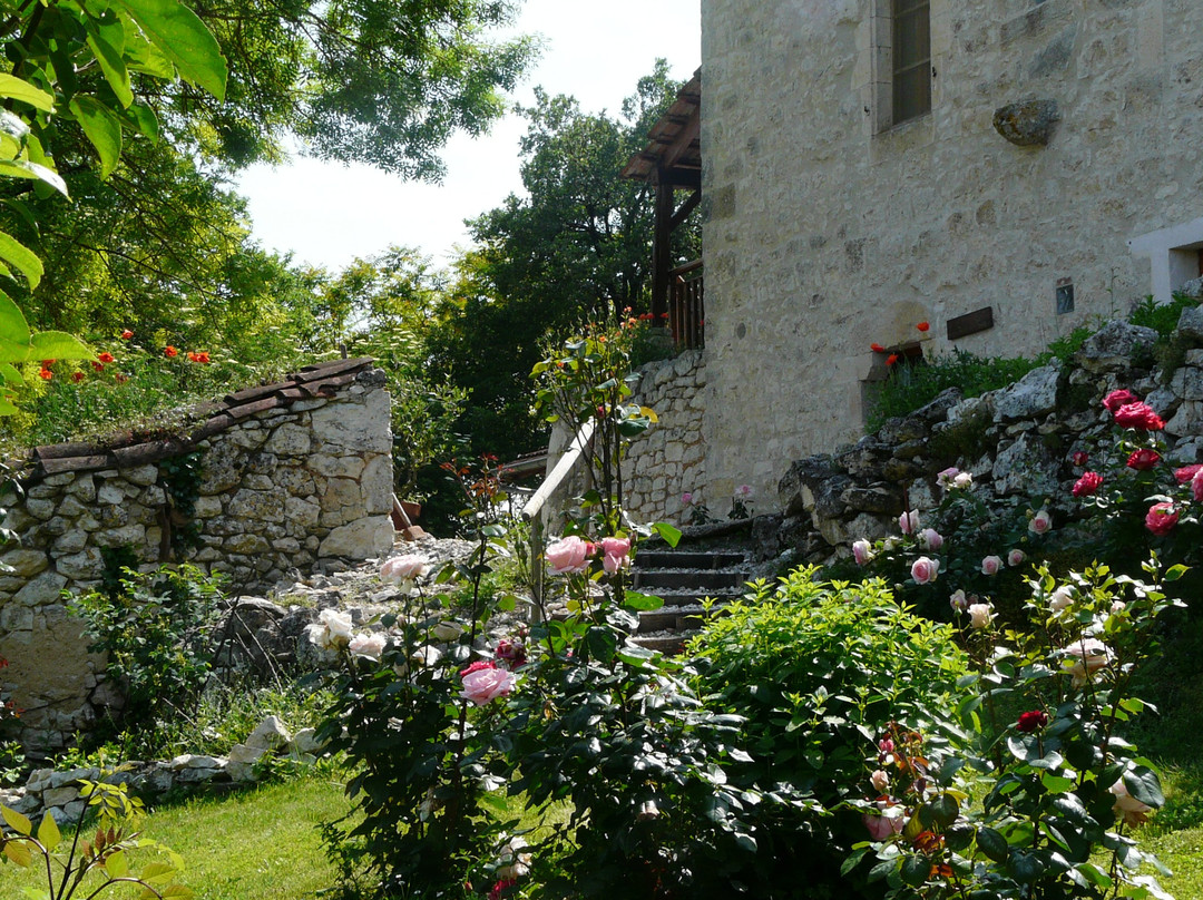 Le Mas des Papillons Chambre d'hôtes B&B