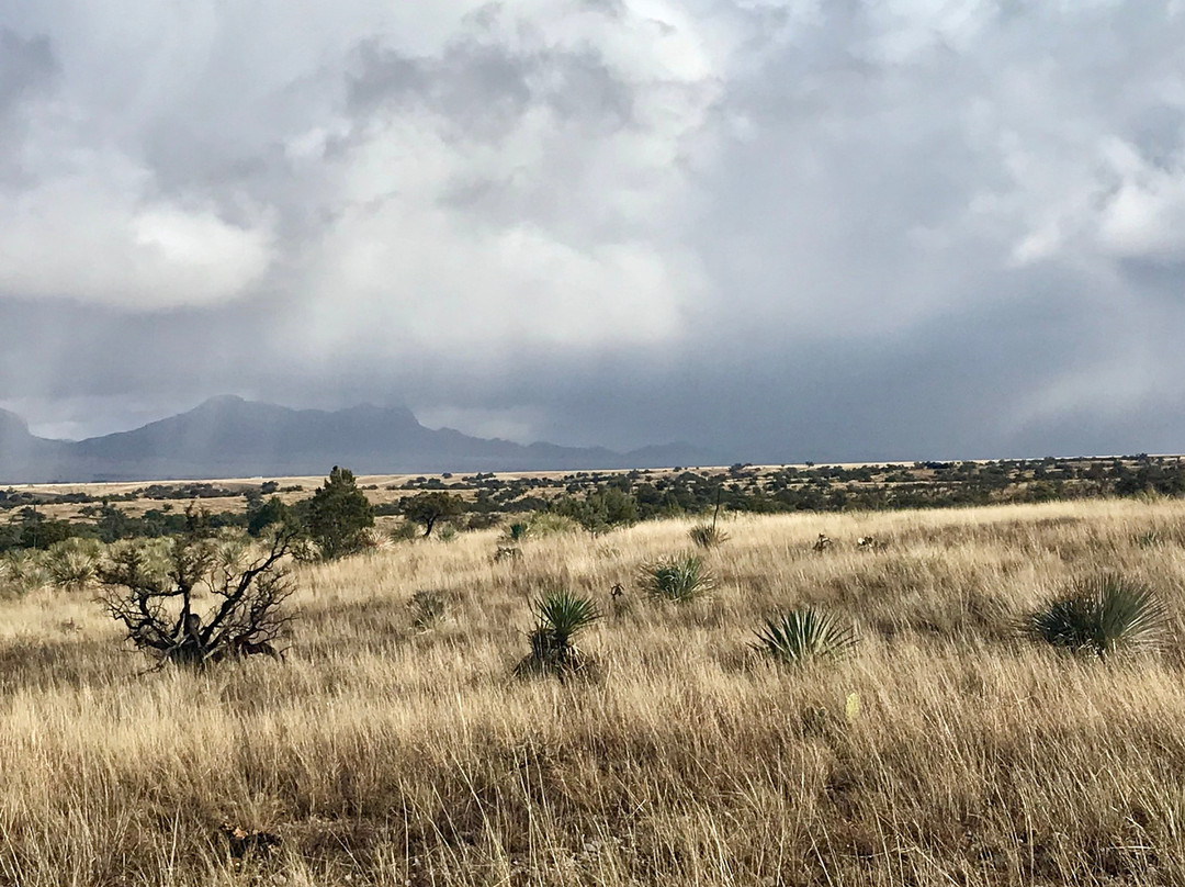 Arizona Horseback Experience景点图片