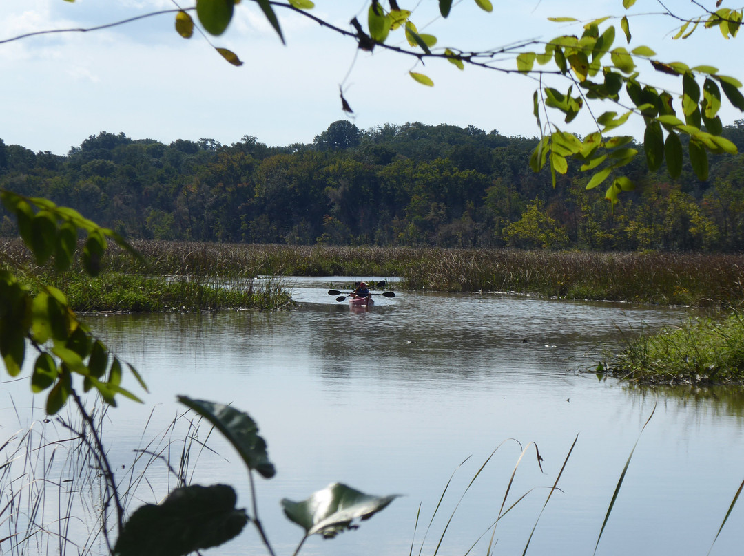 Dyke Marsh Wildlife Preserve-亚历山德里亚必去景点