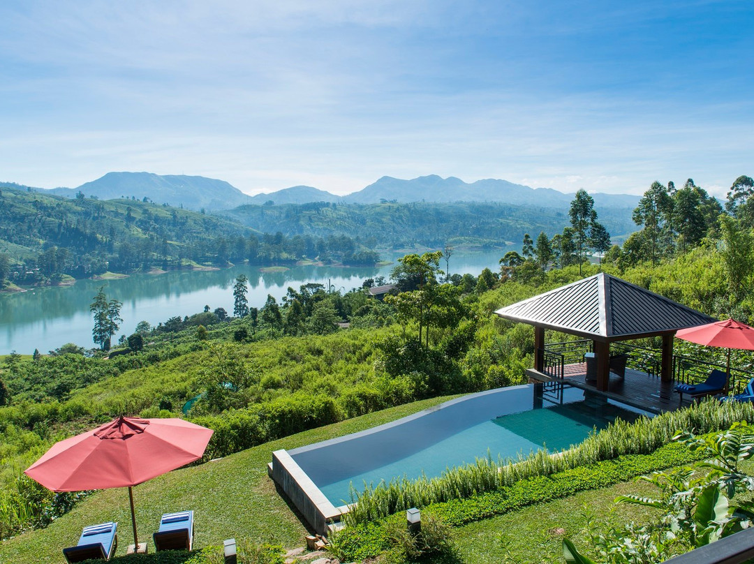 Dickoya酒店住宿-Camellia Hills