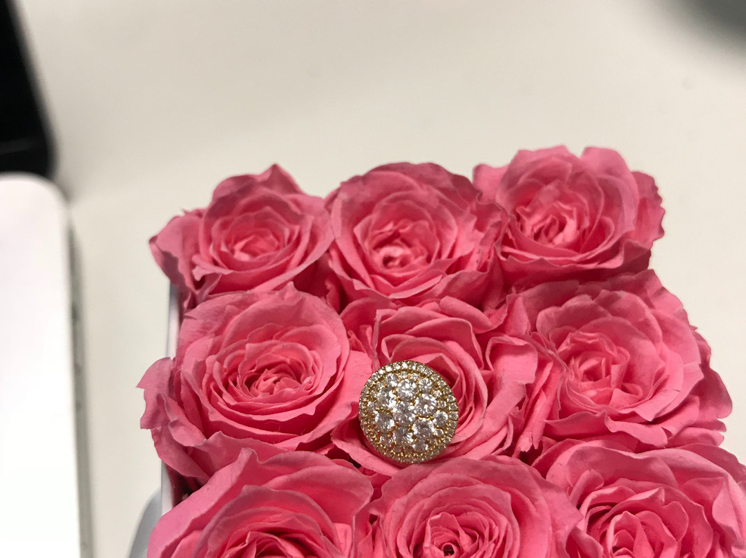 Jewels in Paradise-棕榈/鹰海滩必去景点