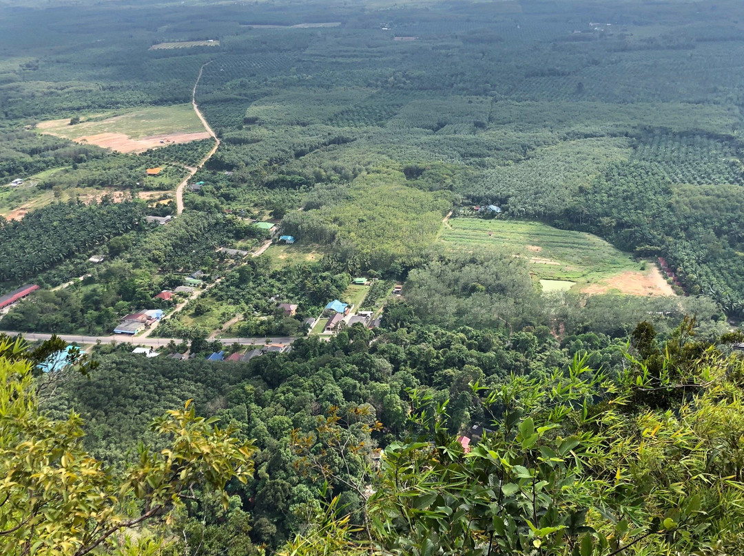 Krabi Jungle Tour景点图片