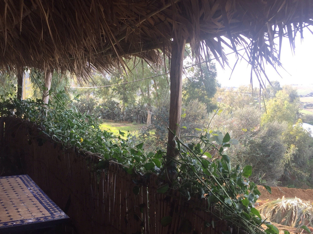 Maison D'Hotes Berbari主图