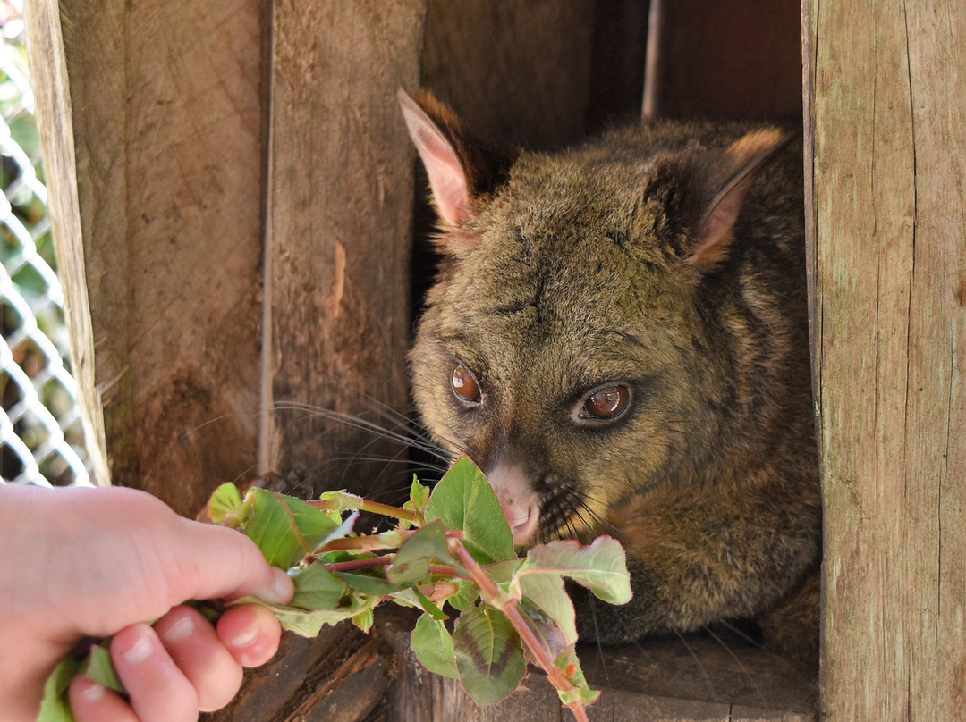 Stoney Oaks Wildlife Park-Inglewood必去景点