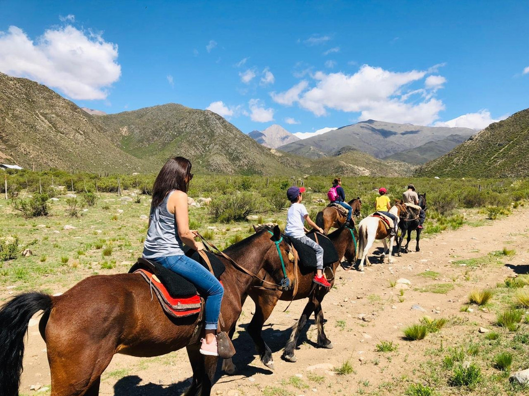 Visit Valle De Uco景点图片