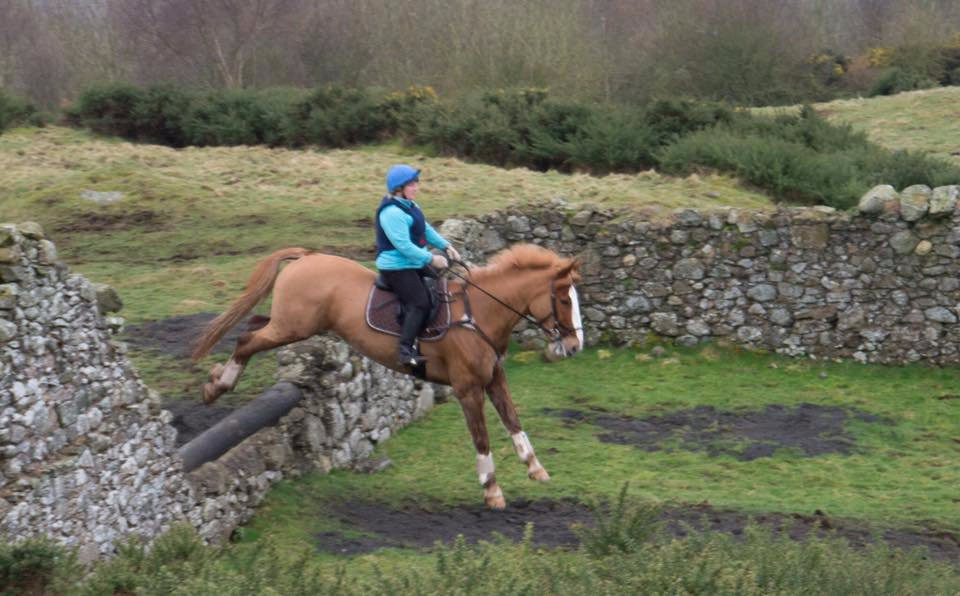 Lindores Equestrian-Newburgh必去景点