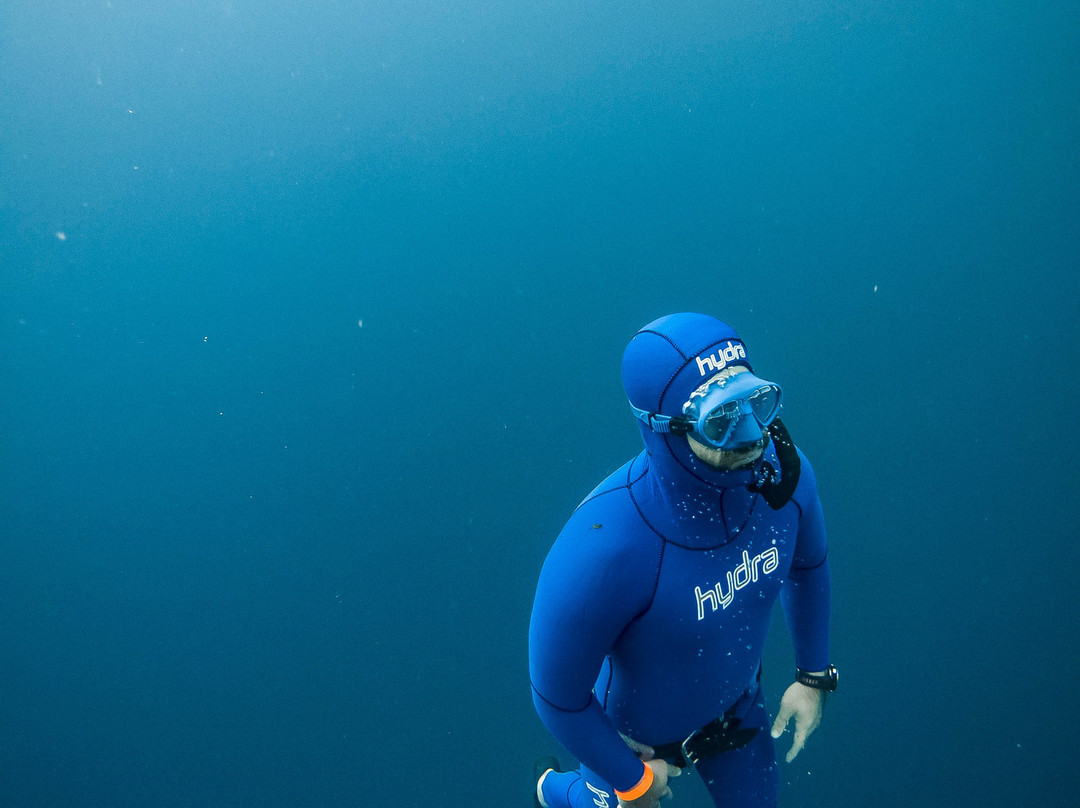 Medfish Freediving景点图片