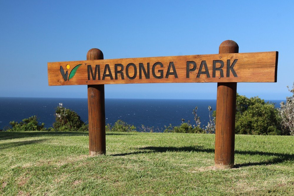 Moronga Park-卧龙岗市必去景点