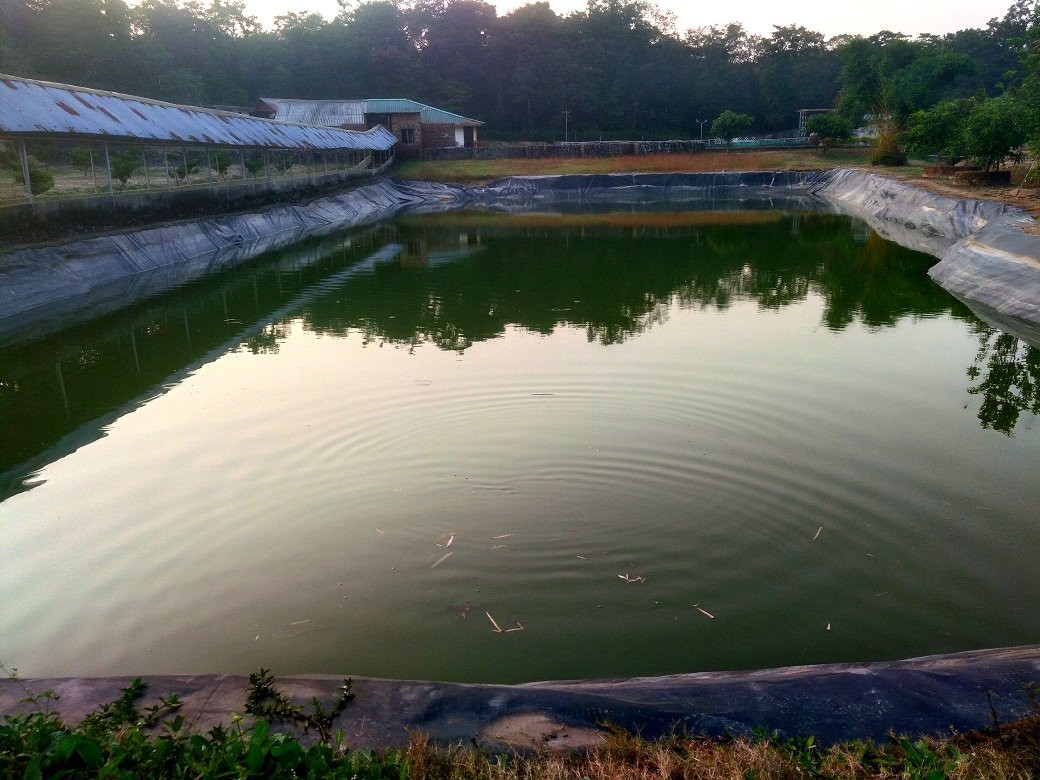 DoodhSagar Jungle Resort主图