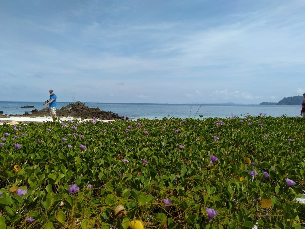 Island Safari - Mergui Archipelago景点图片