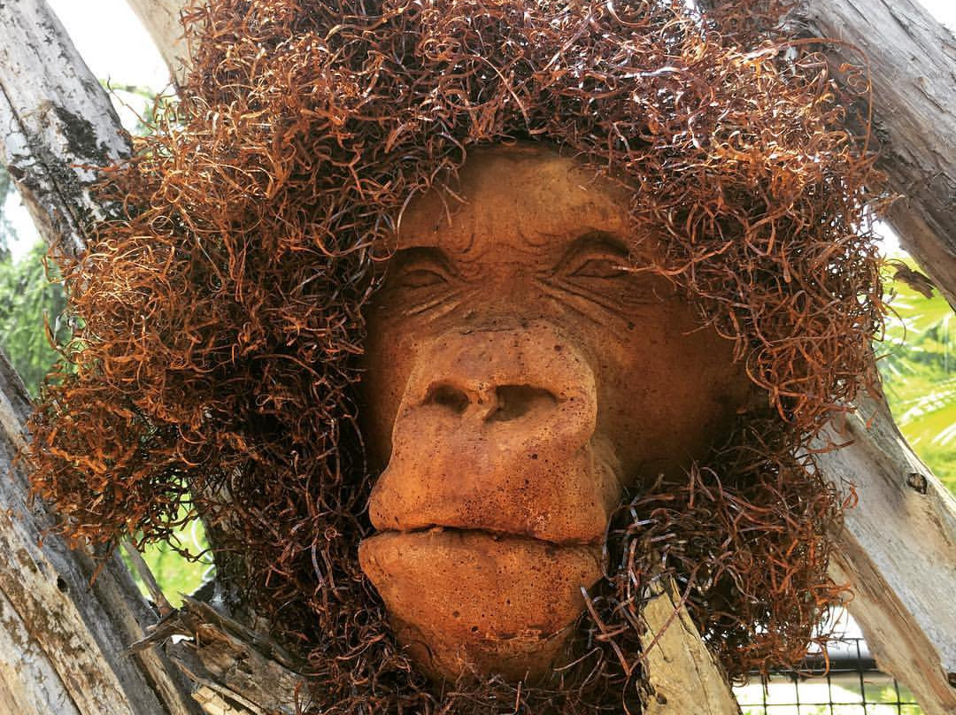 Ponds and Plants-Dayton必去景点