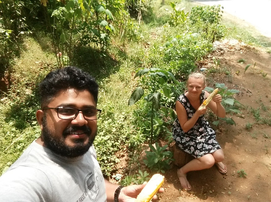 PS Budget Taxi tangalle-唐卡拉必去景点