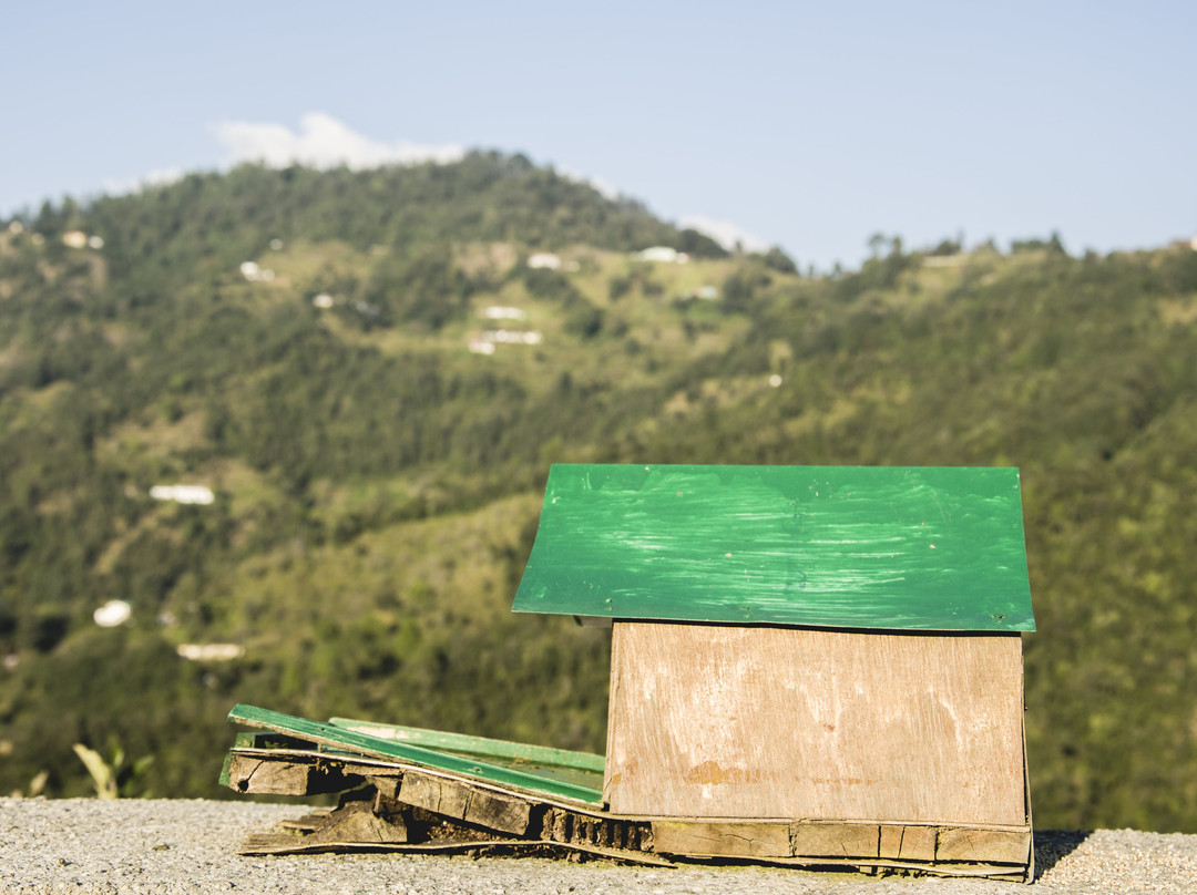 Dyo- The Organic Village Resort主图