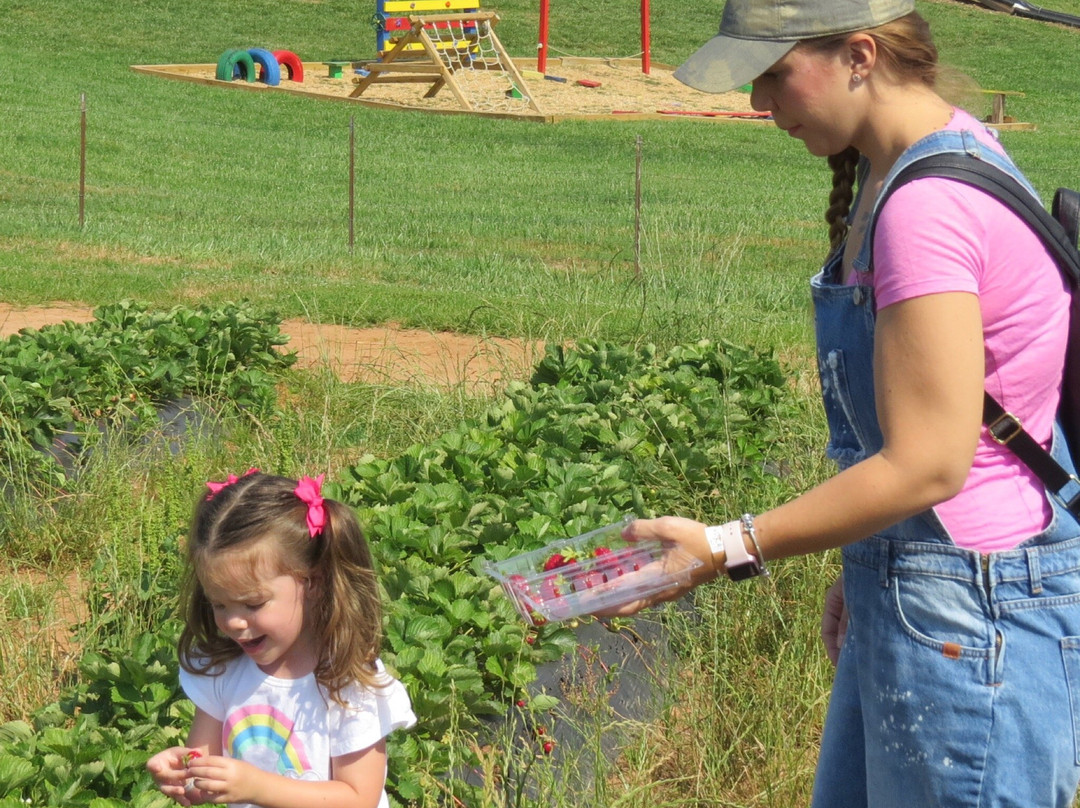 Warbington Farms-卡明必去景点