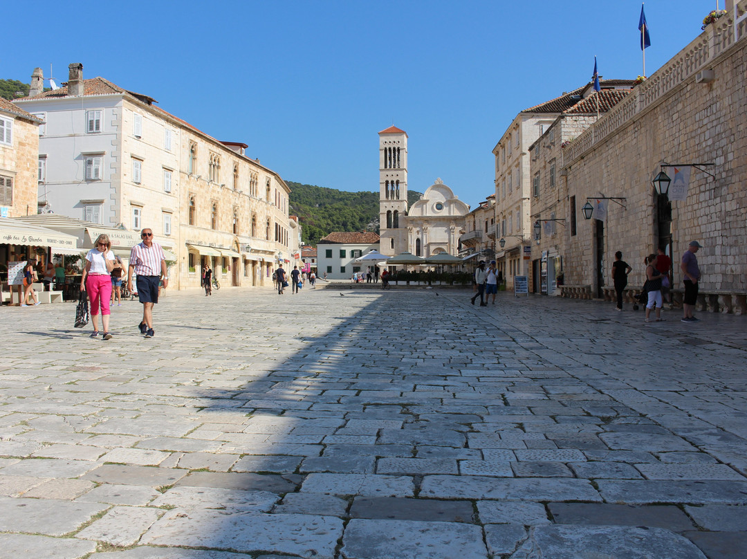 Saint Stephen's Cathedral景点图片