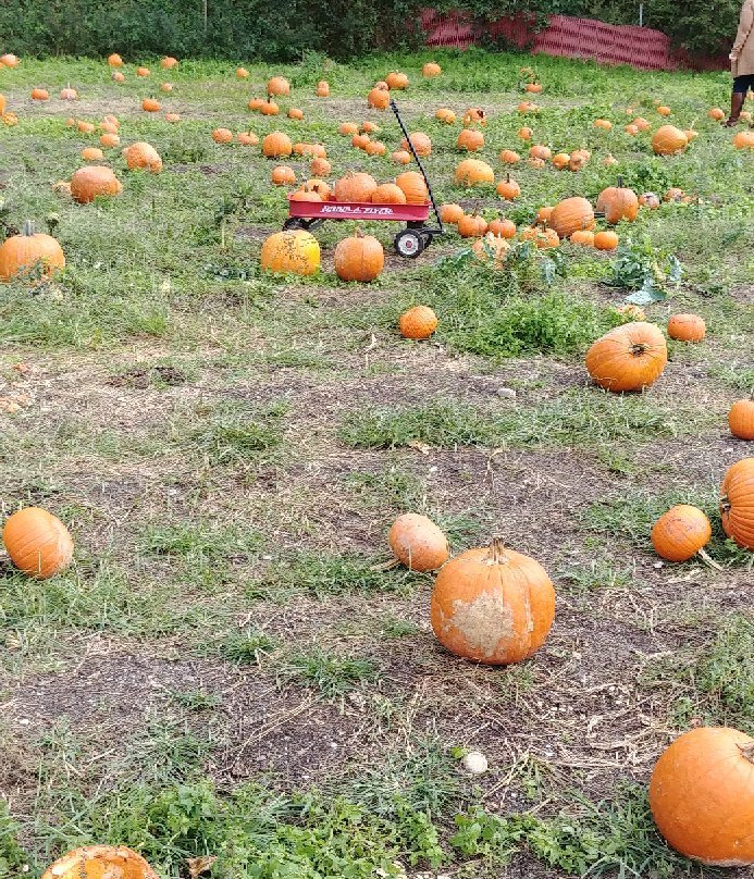 Organics Today Farm-East Islip必去景点