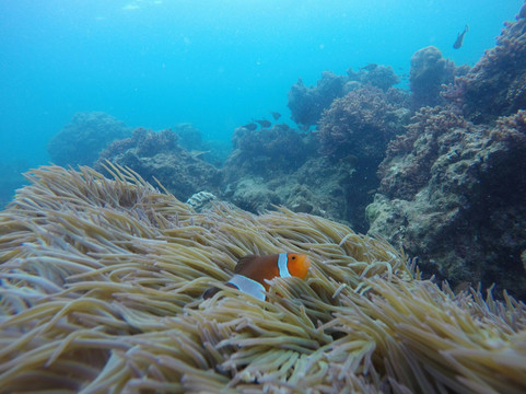 Breezy Andaman-芭东海滩必去景点