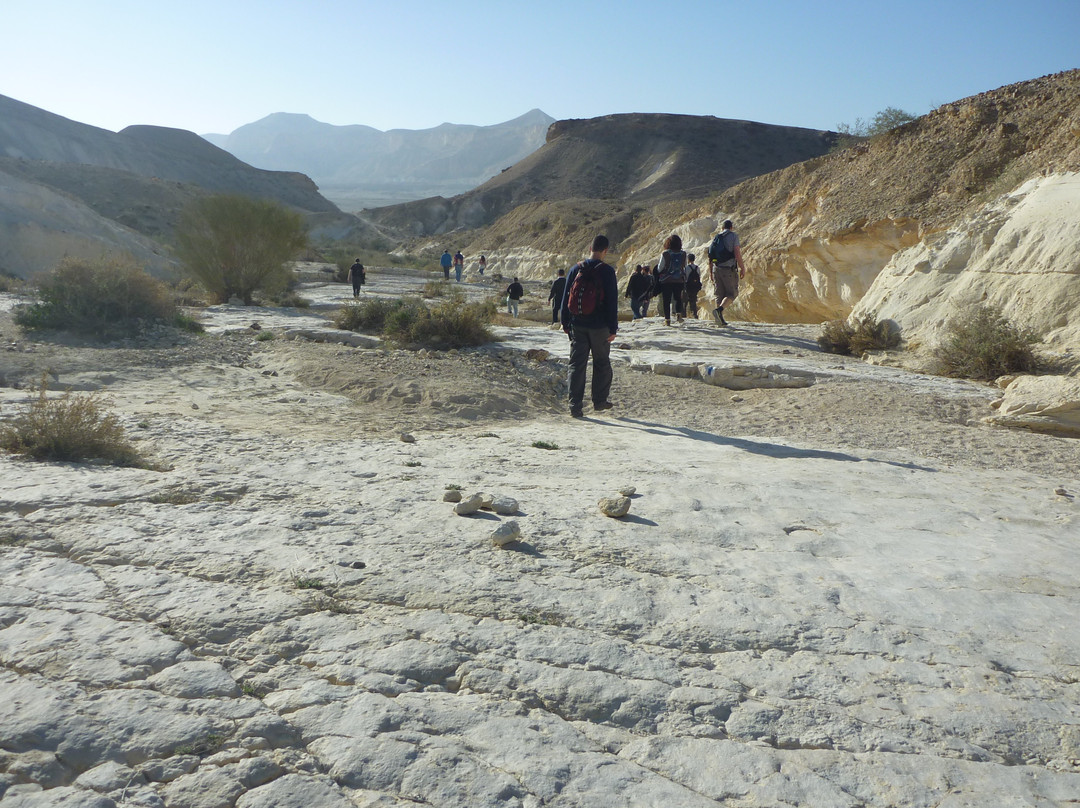 Negev4you-Midreshet Ben-Gurion必去景点