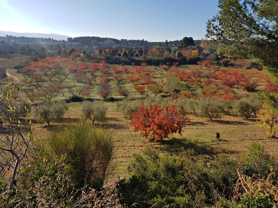 Sant Esteve sesrovires景点图片
