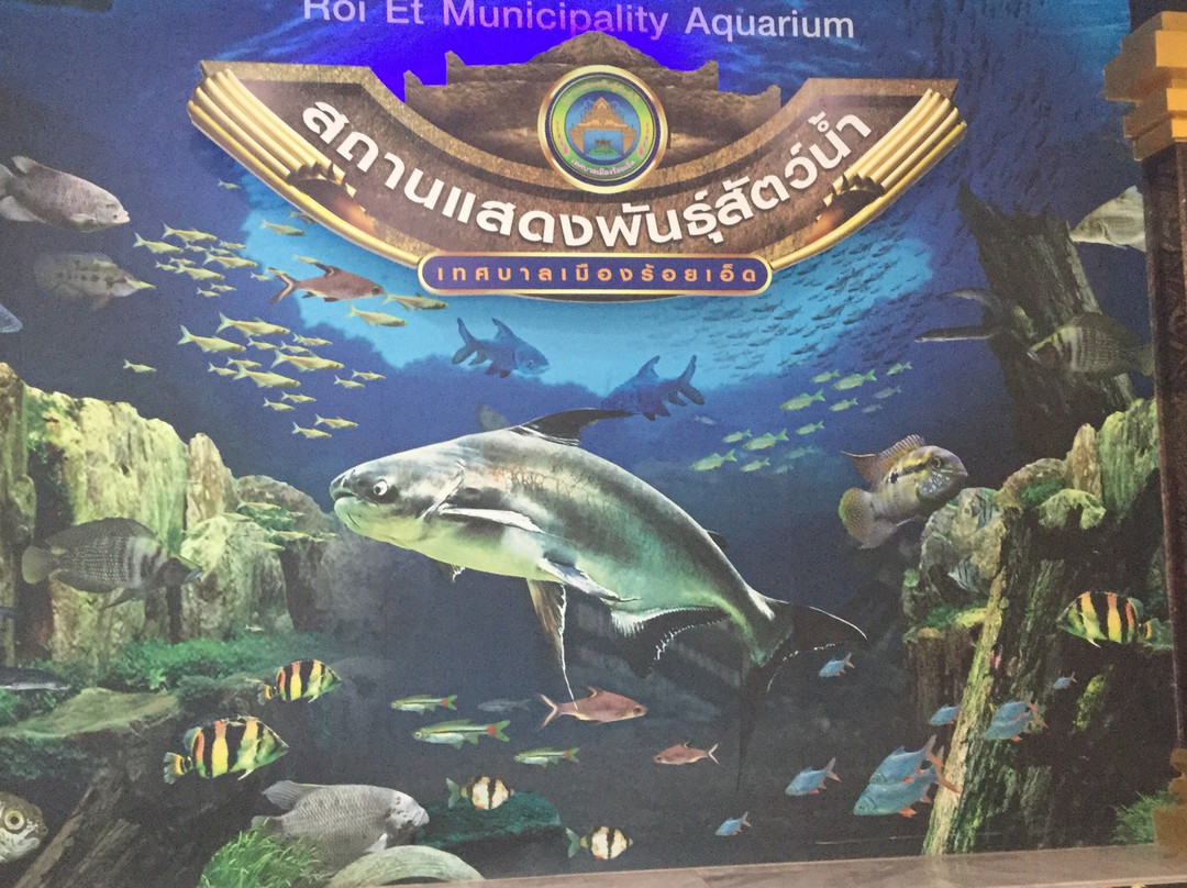 Mueang Roi Et Municipality Aquarium景点图片