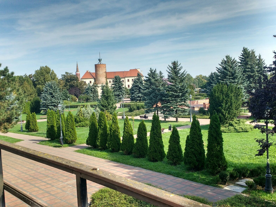 Zamek Ksiazat Głogowskich景点图片