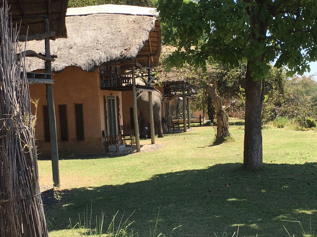 Msandile River Lodge主图