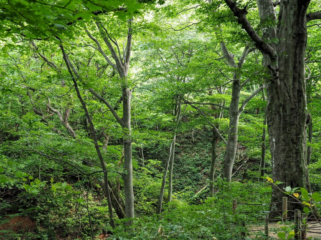 Tomeyama景点图片