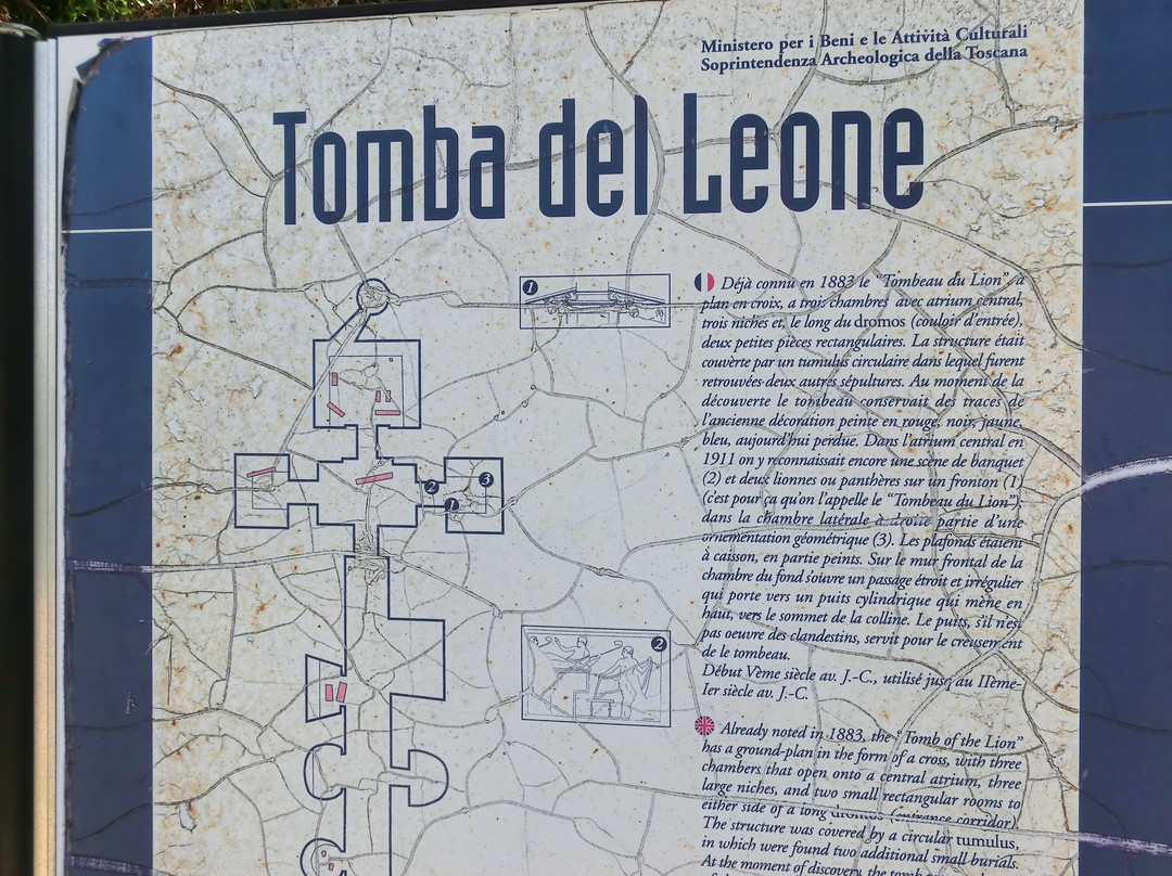 Tomba del Leone景点图片