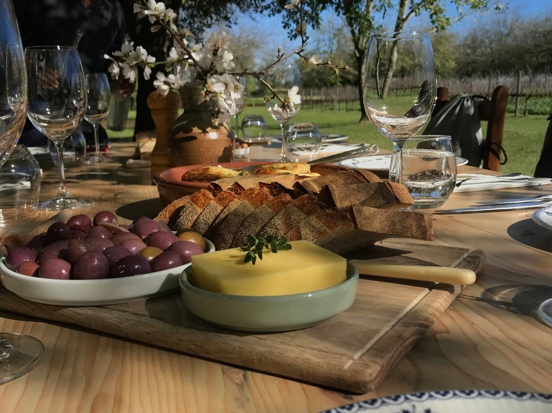 De Meye Wines-斯泰伦博斯必去景点