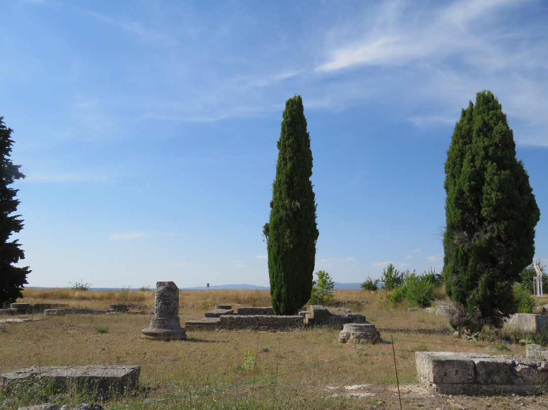 Yacimiento Romano de Clunia景点图片