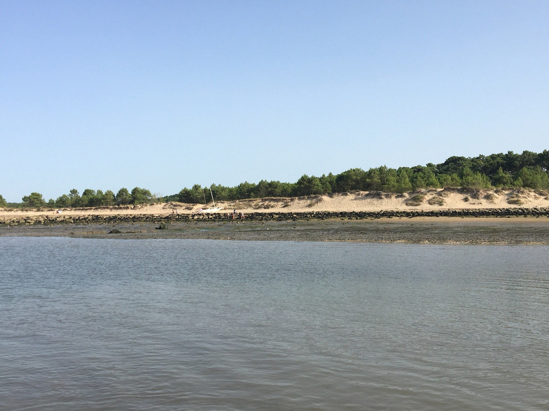 Plage du Galon d'Or景点图片