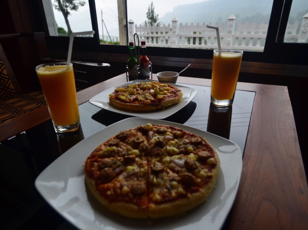 The Diplomatic Corner