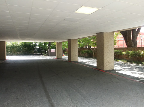 Trained In The Art Of Touch-达拉斯必去景点