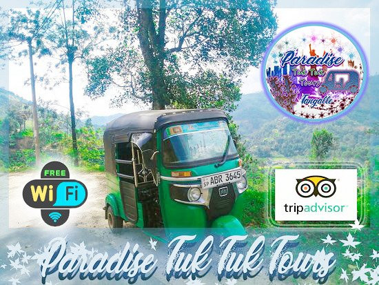 Paradise Tuk Tuk Tours景点图片