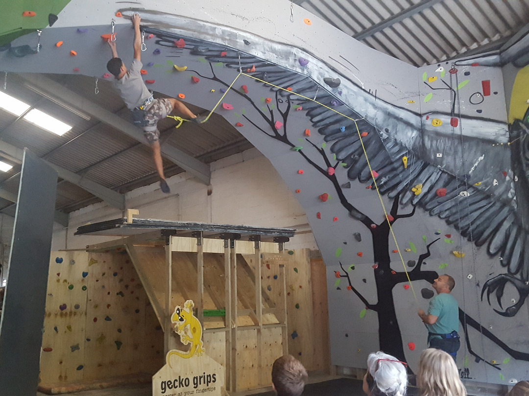 Valley Crag indoor climbing centre-伊丽莎白港必去景点