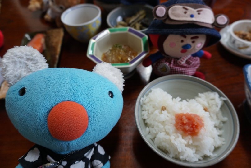 Minshuku Miyano-官方