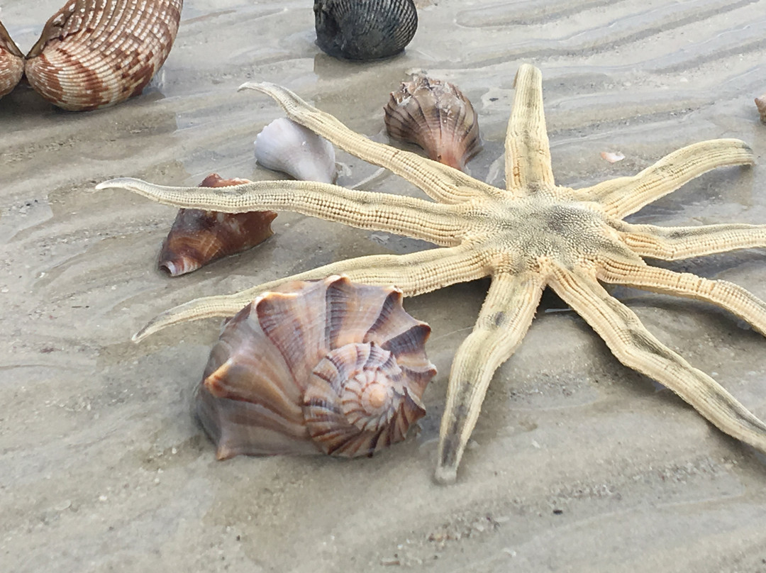 Captiva Island Inn主图