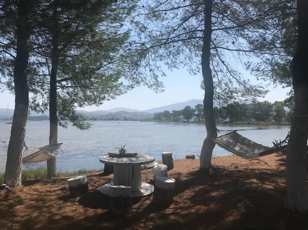 Villa Olga Apartments & Studios主图